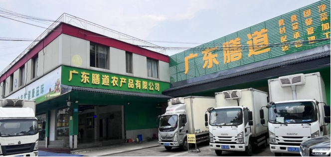 公司门店